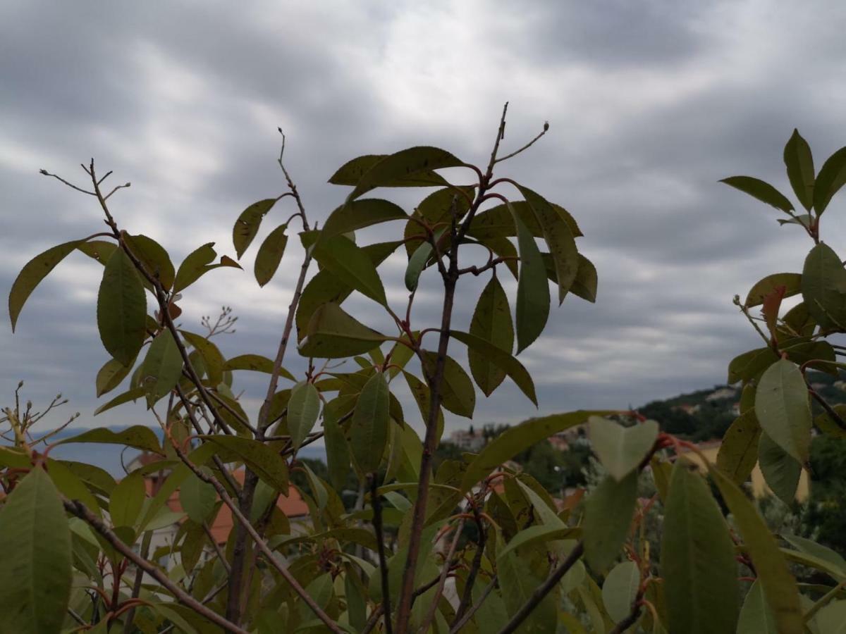 Pobri Apartment Matulji Bagian luar foto